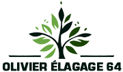 elagage-olivier-elagage-64